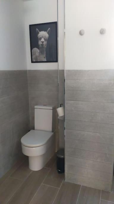 Apartamento Laurana Santander Exterior foto
